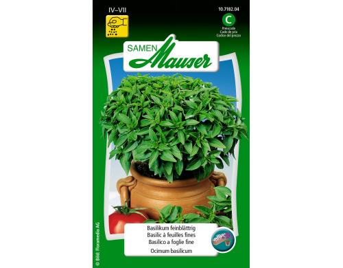 Basilikum feinblättrig Ocimum basilicum