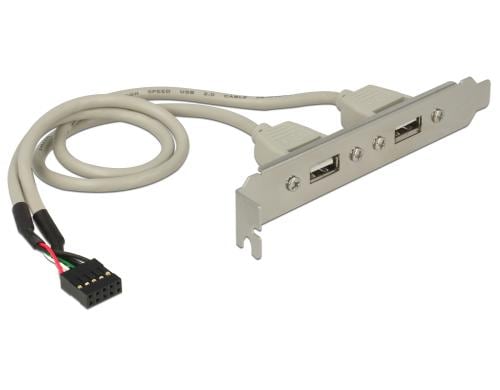 Delock Slotblech USB 2.0 Pin Header 1 x 10 Pin intern > 2 x USB 2.0-A