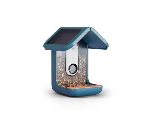 Bird Buddy Vogelhaus mit Solardach Mit AI Vogelerkennung,App DE/FR/IT/EN/NL/ES