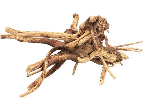 BioArt Spiderwood 10-15 cm Splintholz, zur Dekoration für Pflanz-Terra