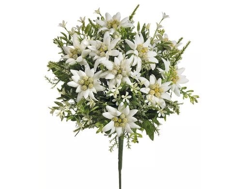 Botanic-Haus Edelweiss-Strauss 29x20 cm(HxB), Kunststoff, Spinnstoff