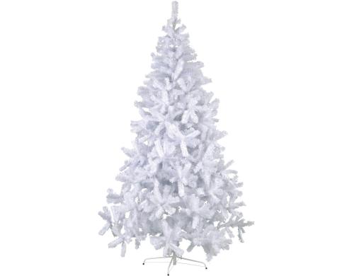 Star Trading Weihnachtsbaum 2.1m Quebec ohne LED, HxB: 2.1x1.3m