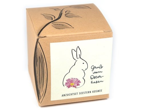 Anzucht Gruss vom Osterhasen Set mit Seestern Kosmee