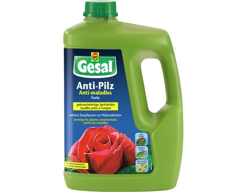 Anti-Pilz FORTE 2,5 L