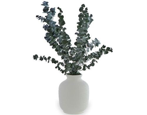 Soli Collection Eukalyptus Baby Blue L: 40-55cm