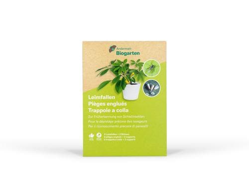 Andermatt Bio Leimfallen Fallen und 2 Stützen