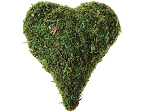 Opiflor Mossherz Grini, bauchig Grün, Durchmesser: 10.5 cm