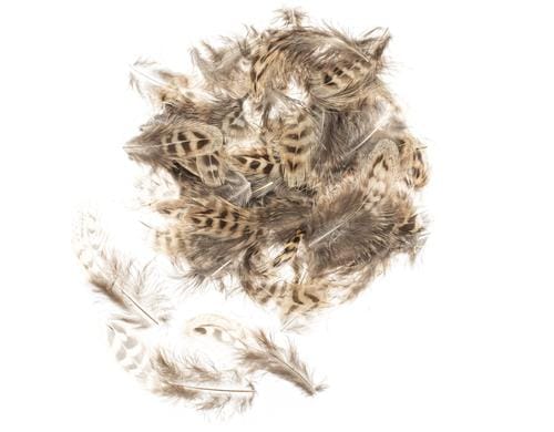Glorex Hühnerfedern 5-12 cm, 10g