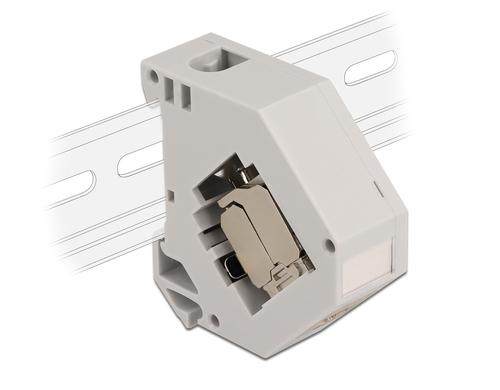 Delock Keystone DIN-Rail Hutschiene Gehäuse inkl. Cat.6A RJ-45 Buchse - LSA Keystone