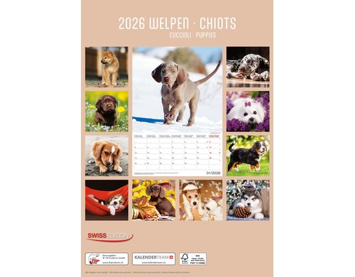 Bildkalender Welpen 2026 23.7 x 34 cm