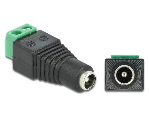 Delock Adapter DC, 5,5 x 2,1mm Buchse Terminalblock, 2 Pin