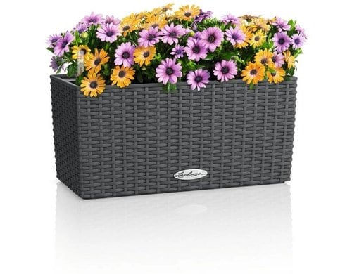 BALCONERA Cottage 40