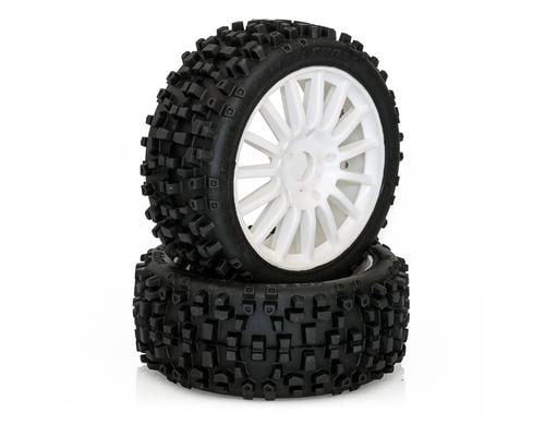 Hobbytech MAXI CROSS  1:8 Preglued BUGGY Tyres on white wheels