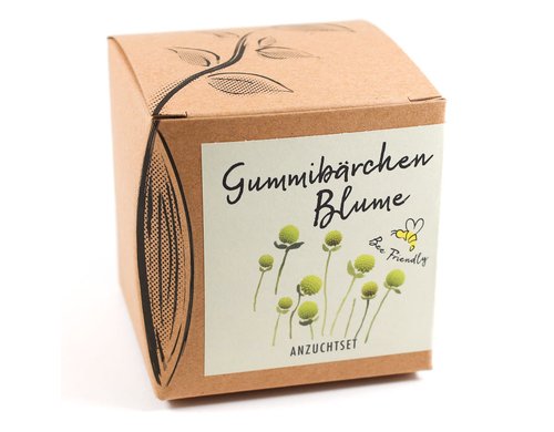 Anzucht Gummibärchenblume