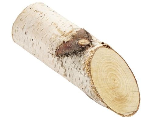 Hobbyfun Mini-Utensilien Birkenstämmchen 15 cm