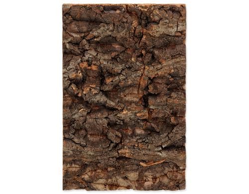 Repti Planet Kork-Rückwand 19x12.3x2cm