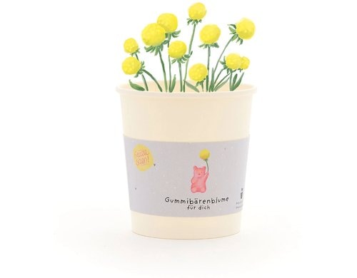 Stadtgärtner Blumengruss-Becher Gummibärenblume