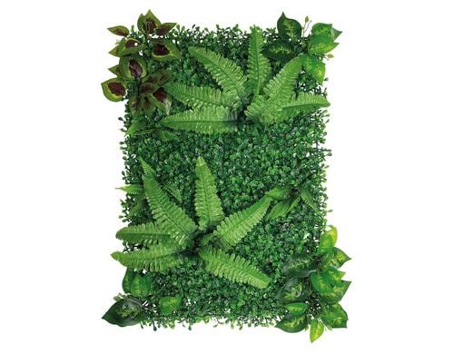 Repto Deco Pflanzenrückwand 1 40x60cm