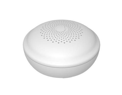 Mentrex Funk-Wassermelder GS156