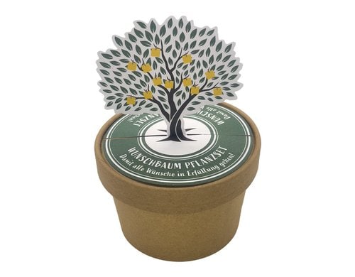 Wunderle Wunschbaum Pott 7cm hoch und 9.8cm Durchmesser