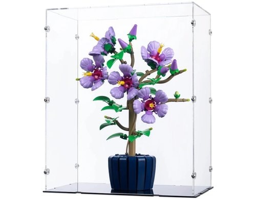 10372 Hibiskus mit schwarzem Boden