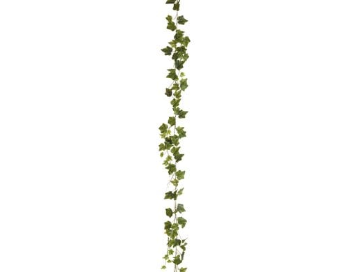 Botanic-Haus Efeugirlande 180 cm