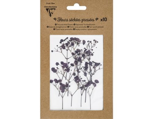 Clairefontaine Trockenblumen Lavendel gepresst, 10 Stück