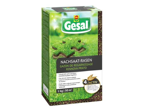 Gesal Nachsaat-Rasen