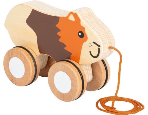 Nachziehtier Meerschweinchen