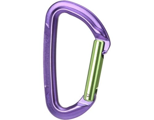 WC Carabiner Session Straight Gate Purple/Green