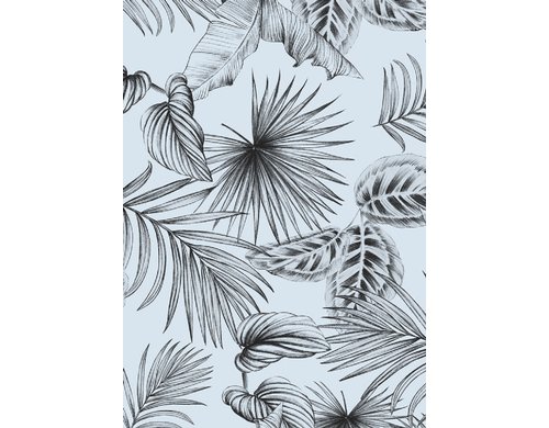 d-c-fix Fensterfolie Botanicals, statisch 45x150 cm, einfach anzubringen