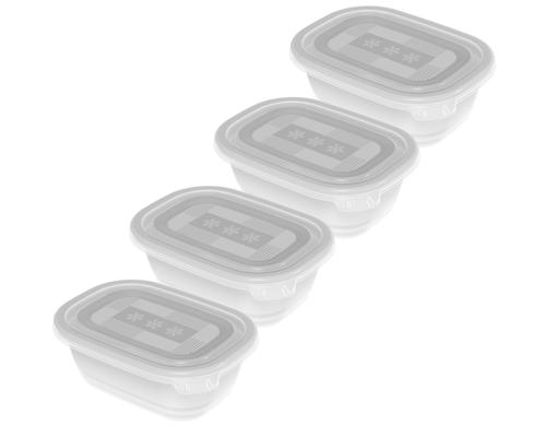 Rotho Gefrierdosen Set Freeze 4x 0.5 Liter, transp, 155x110x105 mm