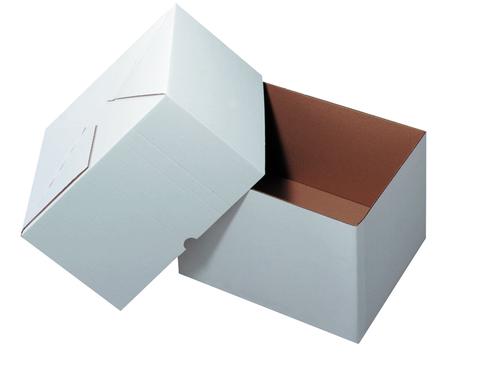 Antalis Versandkarton 2-teilig weiss 305x220x200, 25 Stück