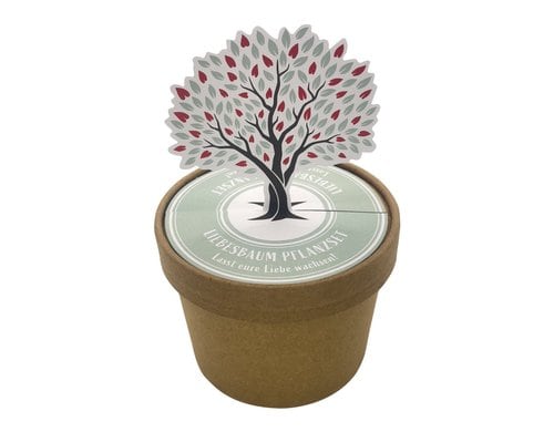 Wunderle Liebesbaum Pott 7cm hoch und 9.8cm Durchmesser