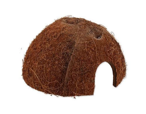 Repti Planet Coco Schale M