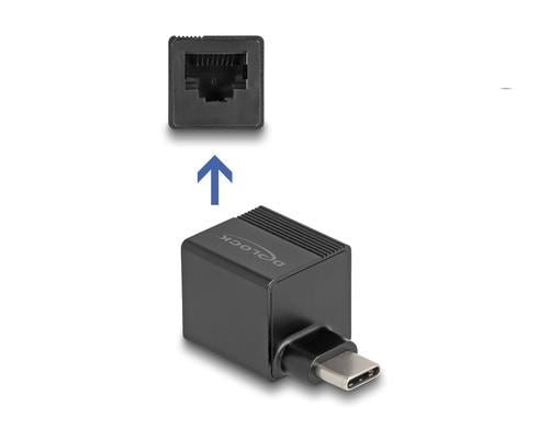Delock USB Type-C Adapter zu Gigabit LAN mini