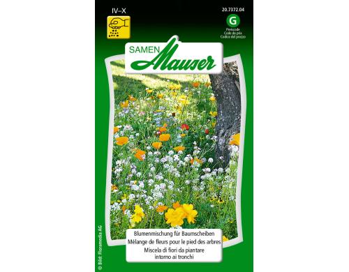 Blütensymphonie für Baumscheiben