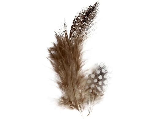 Creativ Company Perlhuhn Federn Sortiment braun, ca. 100 Stück