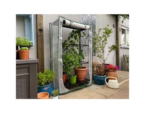 Colibri Gewächshaus Multiflex 3 71.5 x 34 x 87 cm H