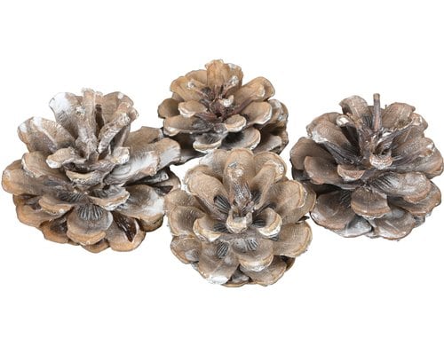 COCON Kieferzapfen, Netz à 100g Grösse ca. 4cm, weiss, Kiefer