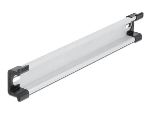 Delock Hutschiene 25cm, Befestigungslöcher 250 x 35 x 15 mm, Aluminium