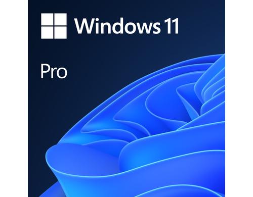 Microsoft Windows 11 Pro 64Bit ESD, ML / Storno nicht möglich