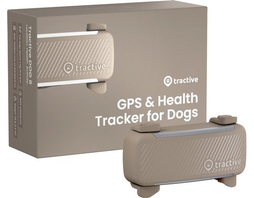 Tractive Hunde Tracker GPS DOG 6 braun