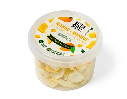 Mango Snack gefriergetrocknet 40 g