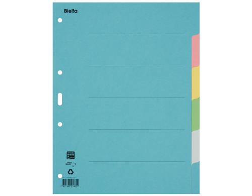 Biella Register Karton A4 6teilig, 4Loch blau,rosa,gelb,grün,grau, 1 Stück