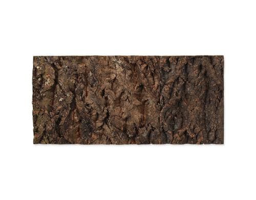 Repti Planet Kork-Rückwand 48.8x22.7x2cm
