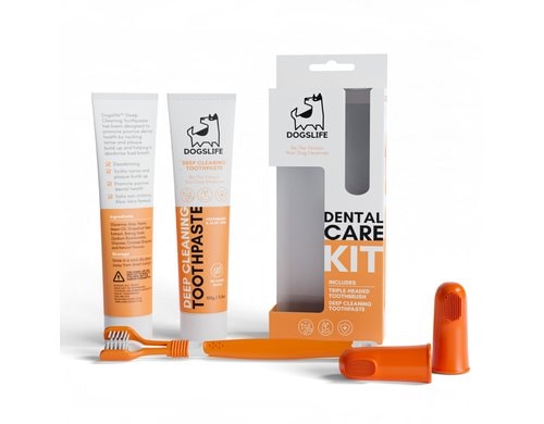 DogsLife Dental Kit