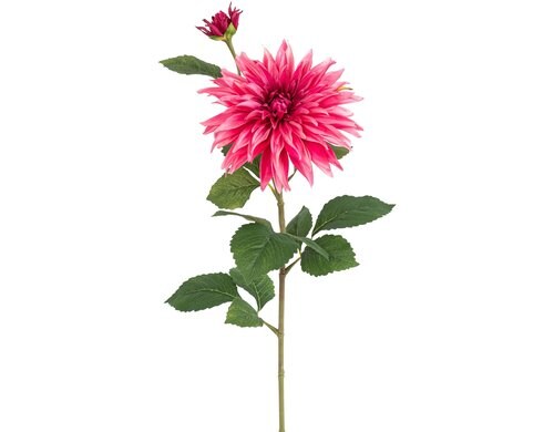 Botanic-Haus Dahlie, Altrosa 85 cm lang, Spinnstoff, Kunststoff