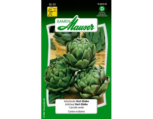 Artischocke Vert Globe Cynara scolymus