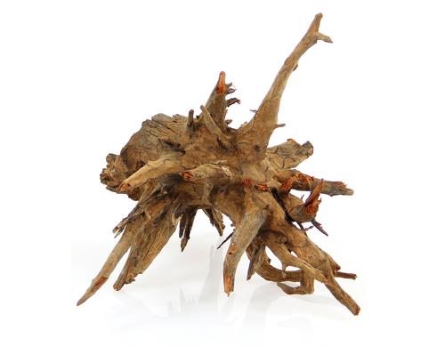 Amazonas Corbo-Wurzel S 30-40 cm